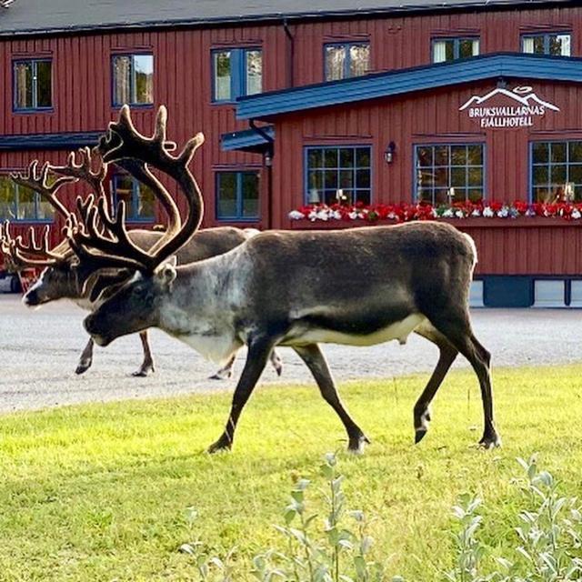 Bruksvallarnas Fjallhotell Luaran gambar