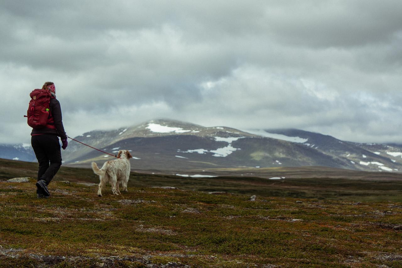 Bruksvallarnas Fjallhotell Luaran gambar